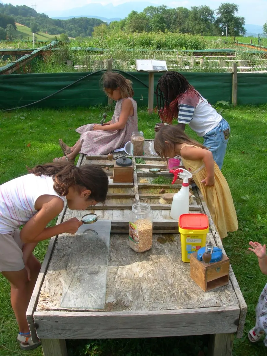 Atelier pédagogique autour d'une table d'observation